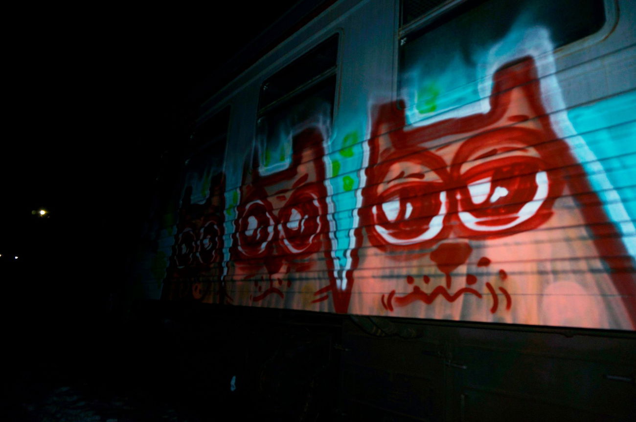 Graffiti Train in Российская Федерация - Photo by Teli (2016)
