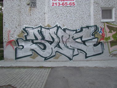 Graffiti Bombing - Photo by Teli