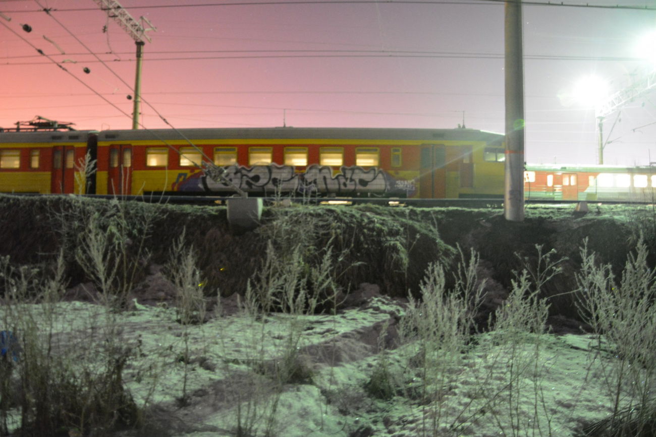 Graffiti Train - Photo by Teli (2016)