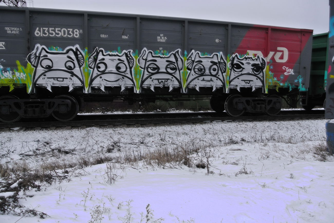 Graffiti Train - Photo by Teli (2013)