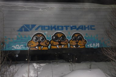 Graffiti Train - Photo by Teli (2016)