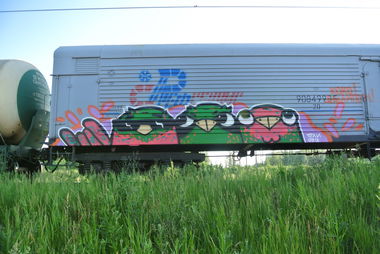 Graffiti Train - Photo by Teli (2013)