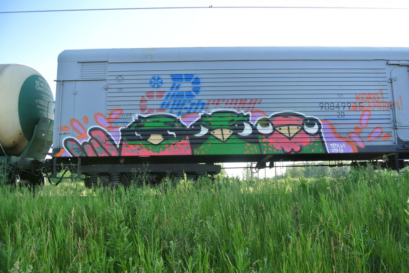 Graffiti Train - Photo by Teli (2013)