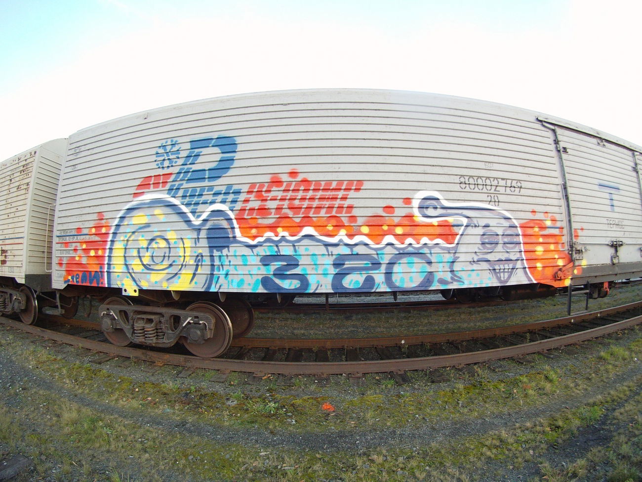 Graffiti Train - Photo by Teli (2015)