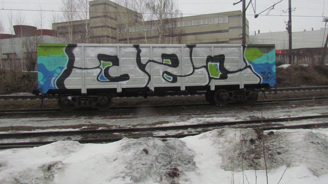 Graffiti Train in Российская Федерация - Photo by Teli (2016)