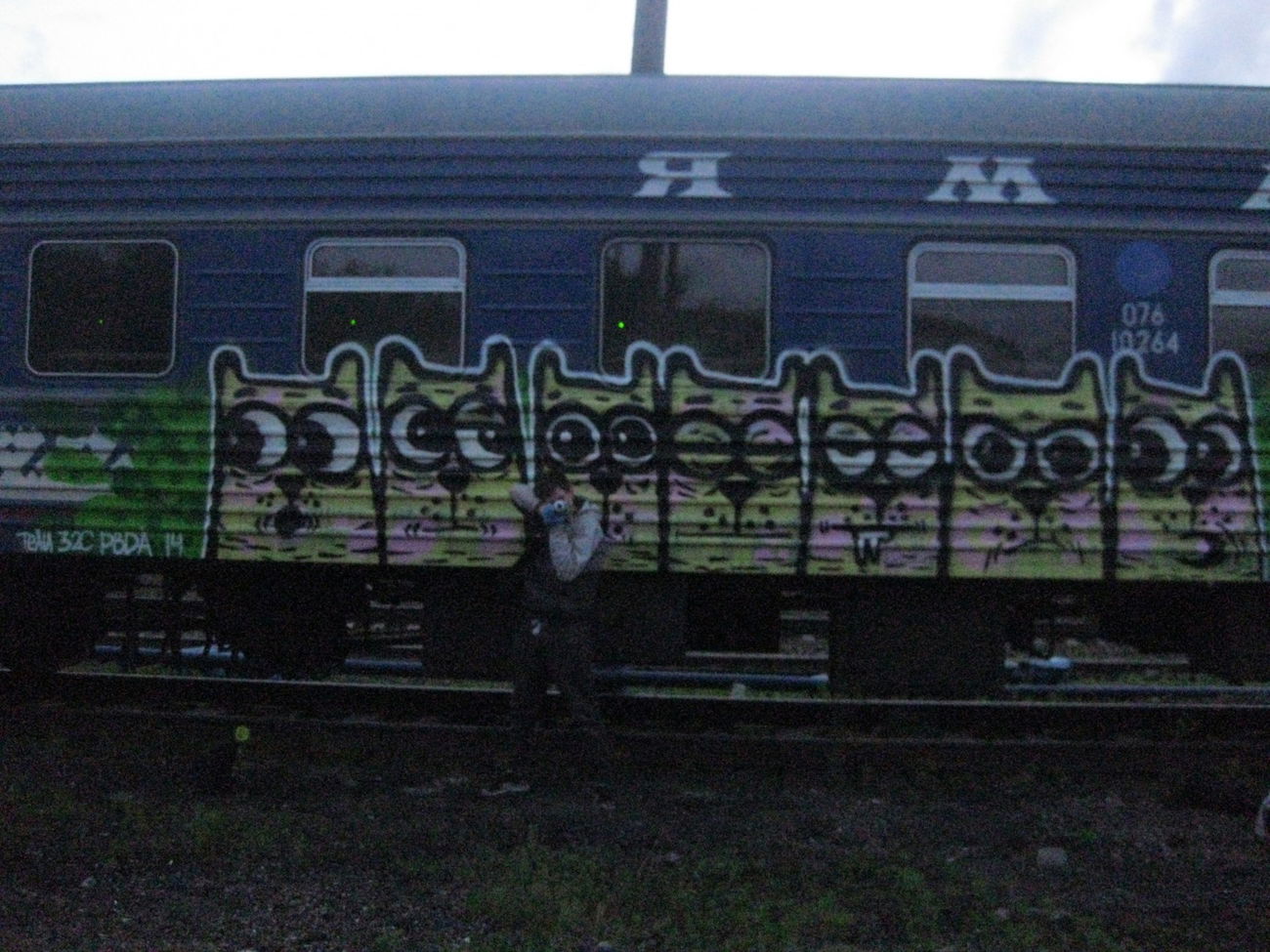 Graffiti Train - Photo by Teli (2015)