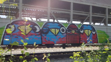 Graffiti Train - Photo by Teli (2013)