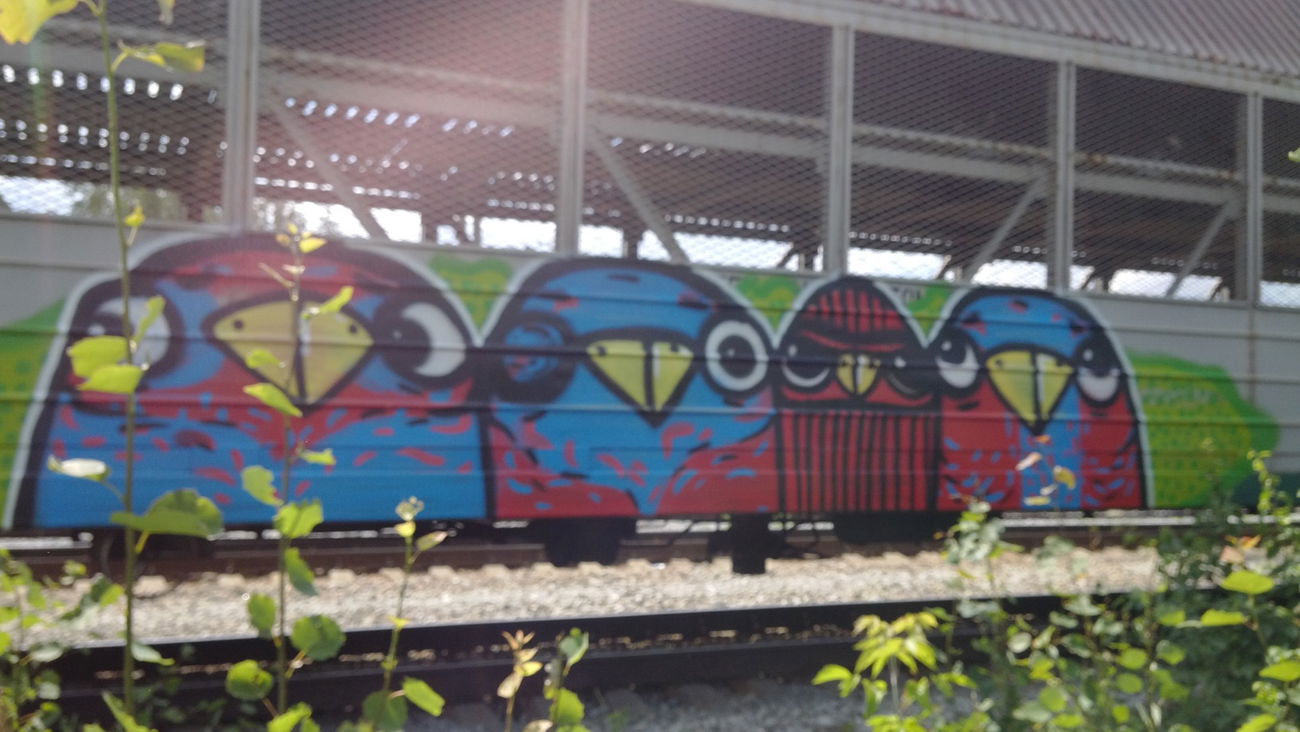 Graffiti Train - Photo by Teli (2013)