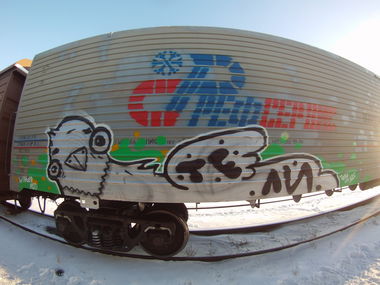Graffiti Train - Photo by Teli (2015)