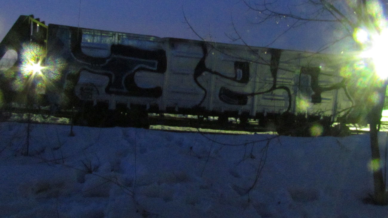 Graffiti Train - Photo by Teli (2016)