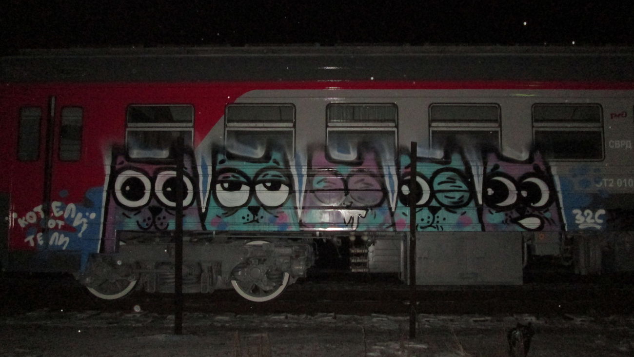 Graffiti Train - Photo by Teli (2015)