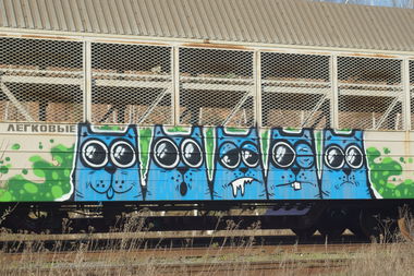 Graffiti Train in Российская Федерация - Photo by Teli (2016)