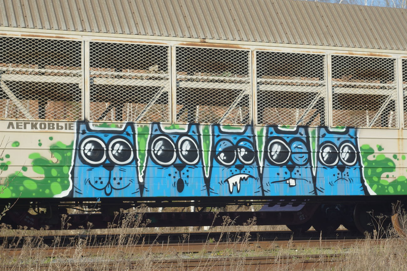 Graffiti Train in Российская Федерация - Photo by Teli (2016)
