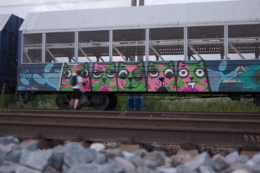 Graffiti Train - Photo by Teli (2014)