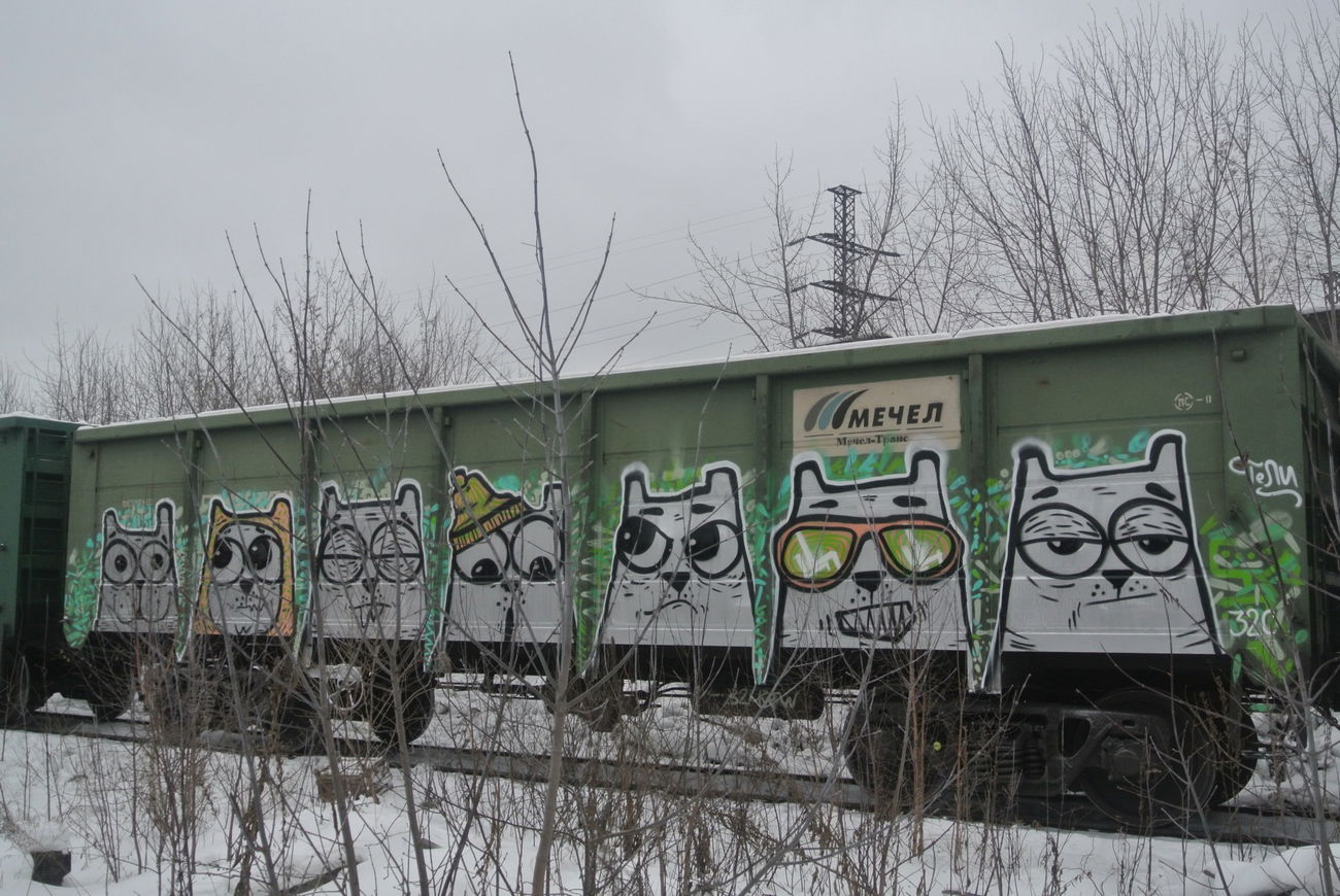 Graffiti Train - Photo by Teli (2013)