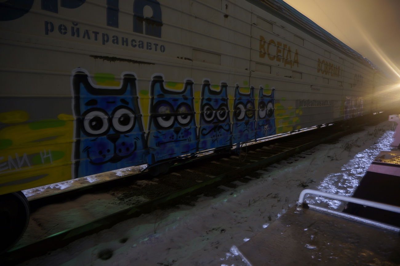 Graffiti Train - Photo by Teli (2014)