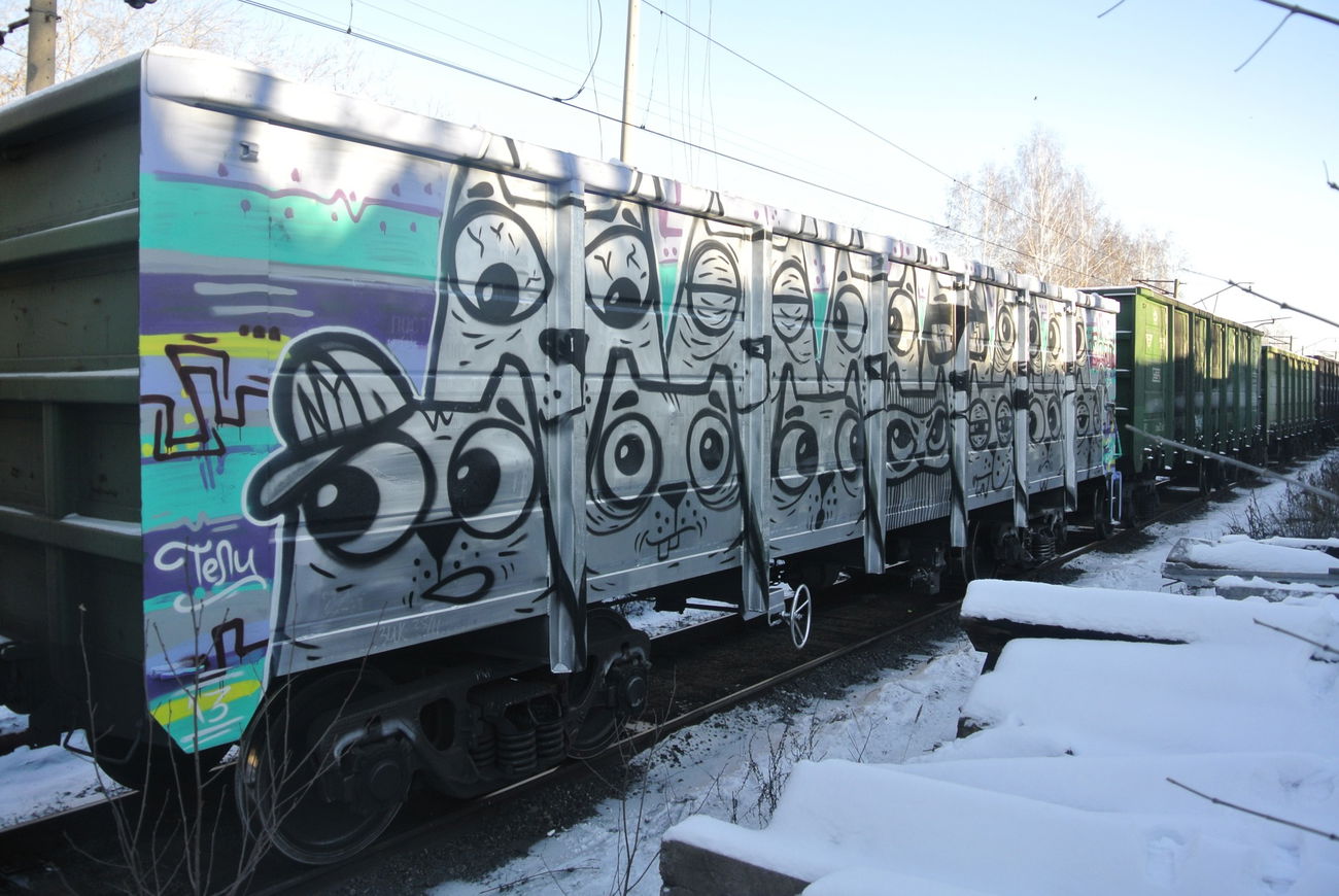 Graffiti Train - Photo by Teli (2013)