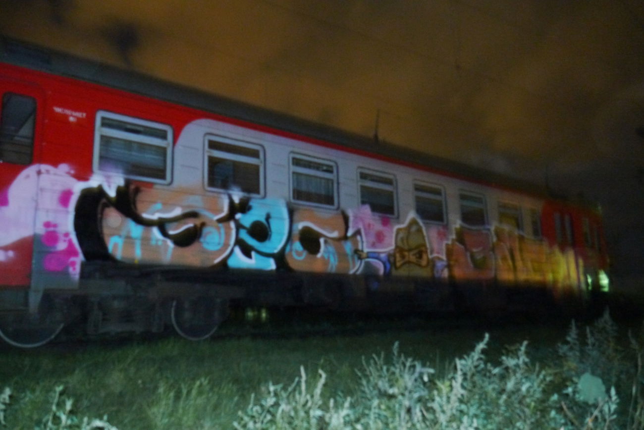 Graffiti Train - Photo by Teli (2015)