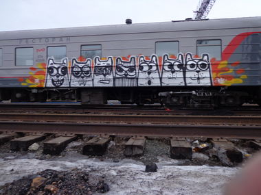 Graffiti Train - Photo by Teli (2014)