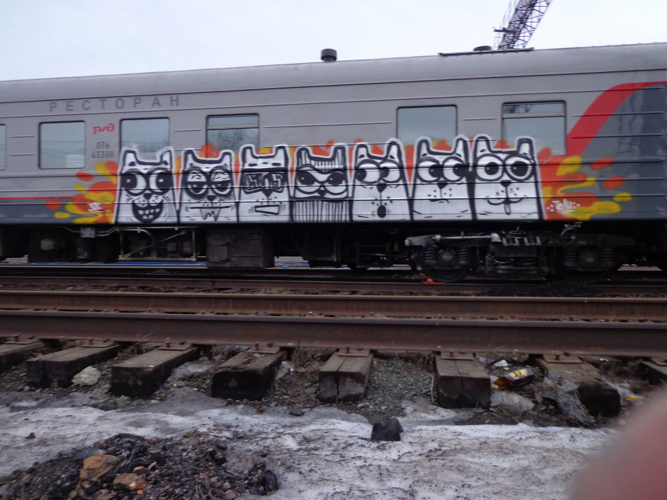 Graffiti Train - Photo by Teli (2014)