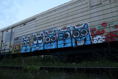 Graffiti Train - Photo by Teli (2015)