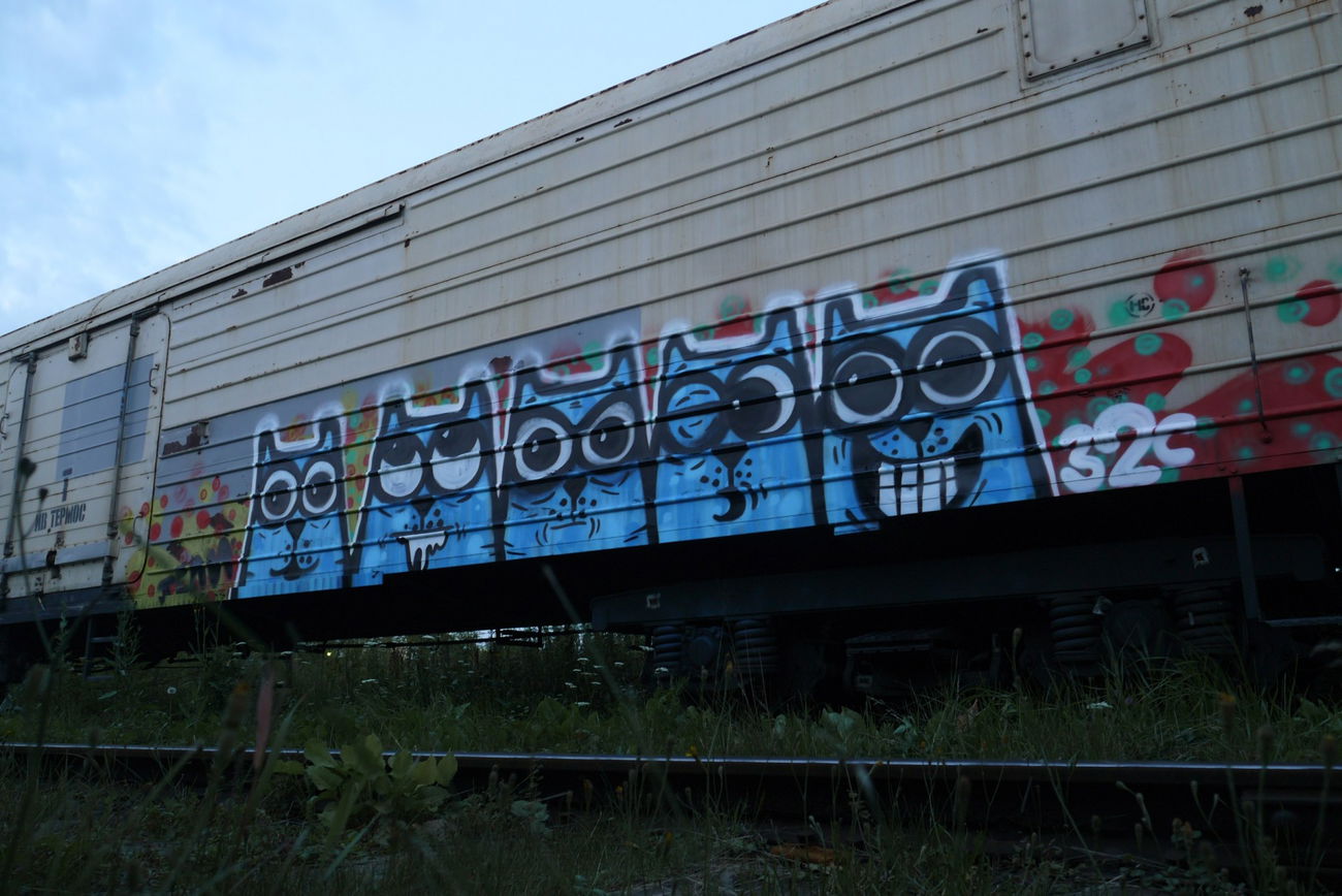 Graffiti Train - Photo by Teli (2015)