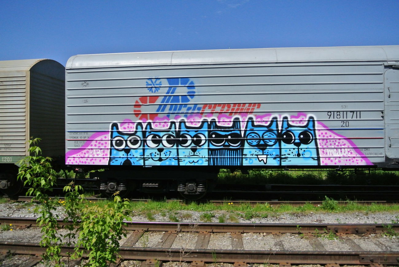 Graffiti Train - Photo by Teli (2014)