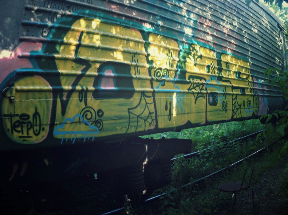Graffiti Train - Photo by TerpOlbs