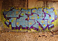 Photo #13270 by TBWSLAEDO