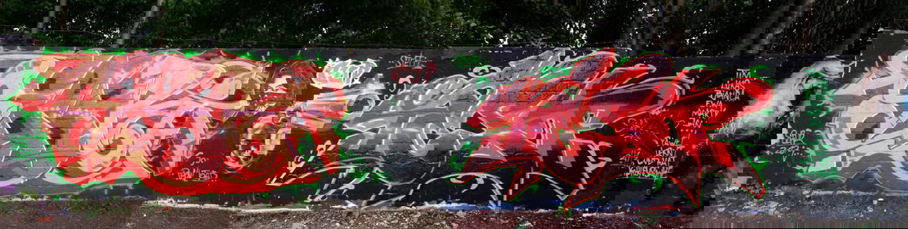 Graffiti Wall - Photo by TestOne - Sear, Test, CUP (2013)