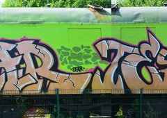 Photo #164337 by TagHagel