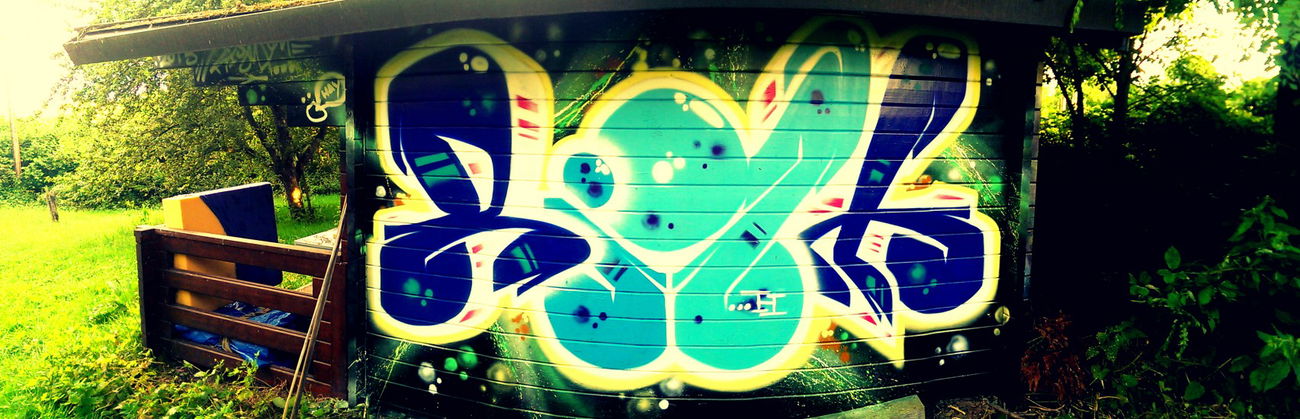 Graffiti Wall in Saarbrücken - Photo by TheRightOne - Im, Garten, alda