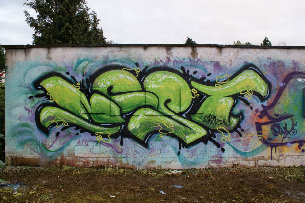 Graffiti Artwork - Photo by TheRightOne - Nest, Saarbrücken (2015)