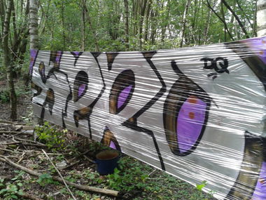 Graffiti Artwork - Photo by TheSeRo - sero, 2013, forest (2013)