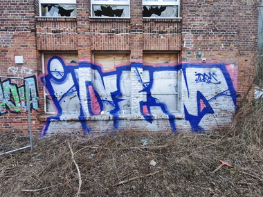 Graffiti Bombing - Photo by TheWallHunter - Zugstrecke, leipzig