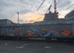 Graffiti Train - Photo by TheWallHunter - Trasher, yard, jena (2025)