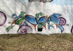 Graffiti Wall - Photo by TheWallHunter - abstract, stylewriting, wald (2021)