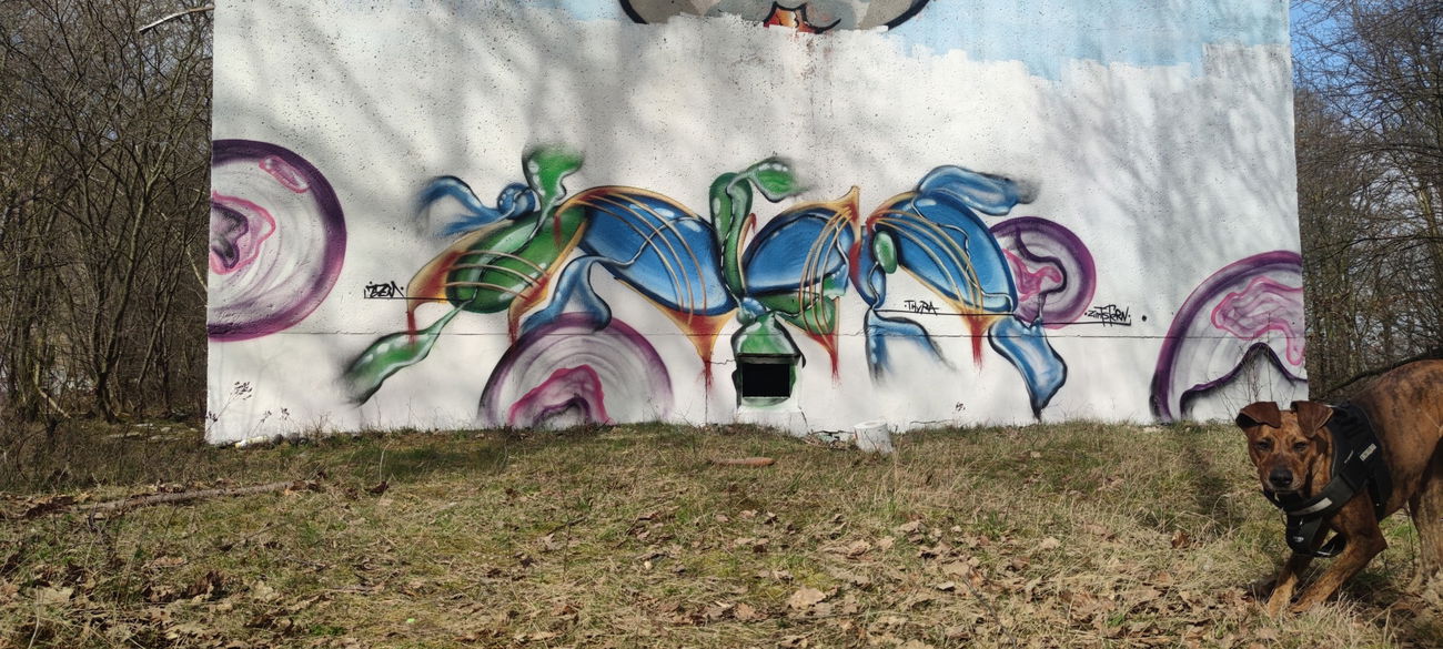 Graffiti Wall - Photo by TheWallHunter - abstract, stylewriting, wald (2021)