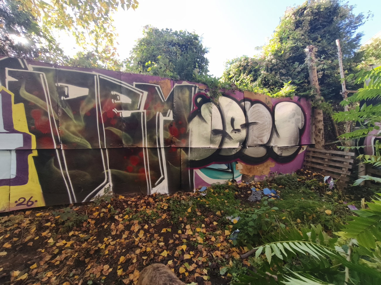 Graffiti Wall - Photo by TheWallHunter