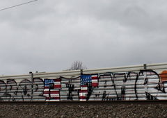 Photo #147430 by TagHagel