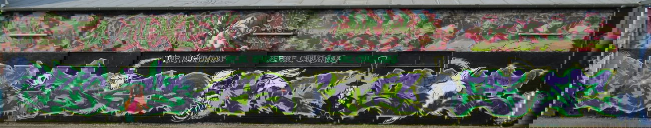 Graffiti Wall - Photo by ThuGliFe - TGF, Elroy, Goyle