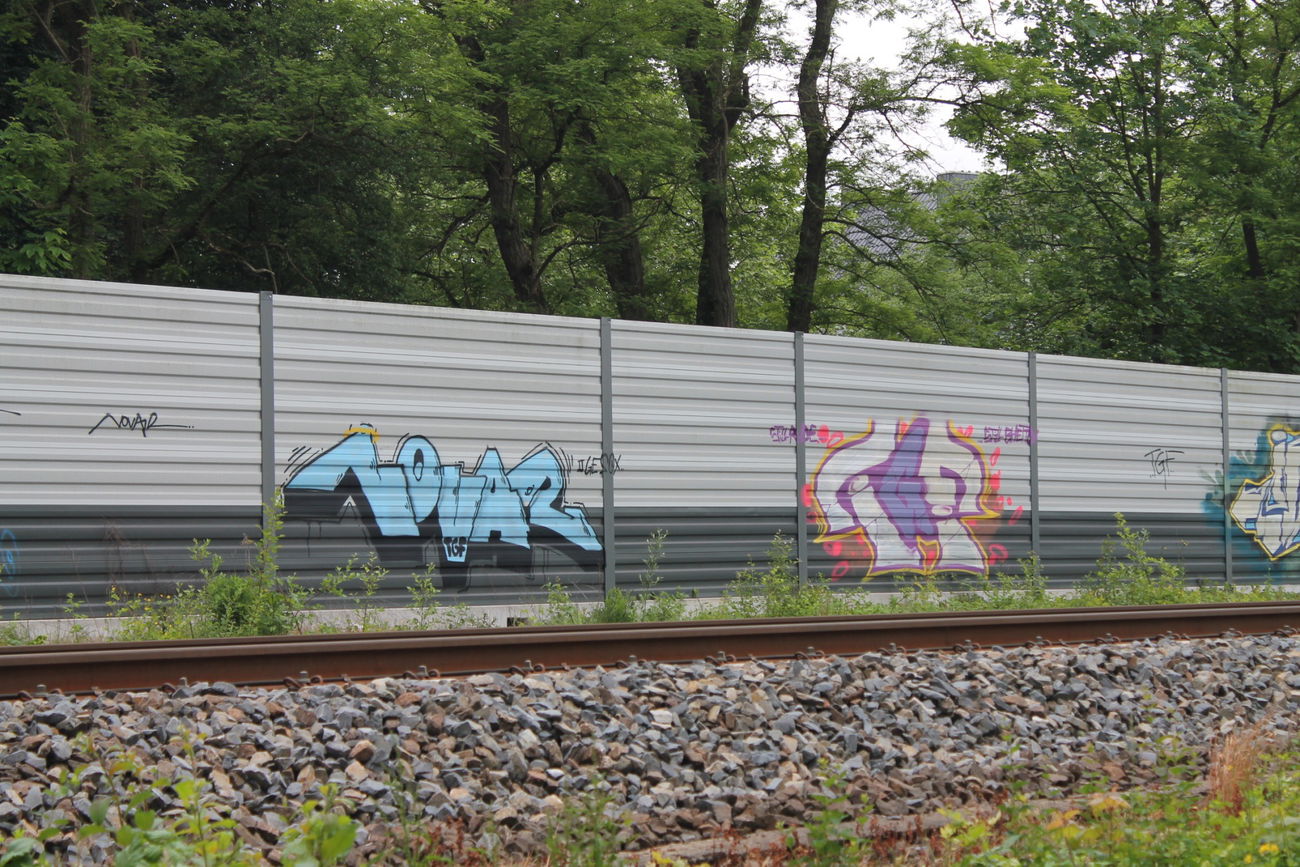 Graffiti Wall - Photo by ThuGliFe - novar, tgf