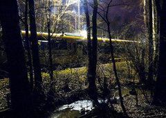 Photo #107595 by Shez