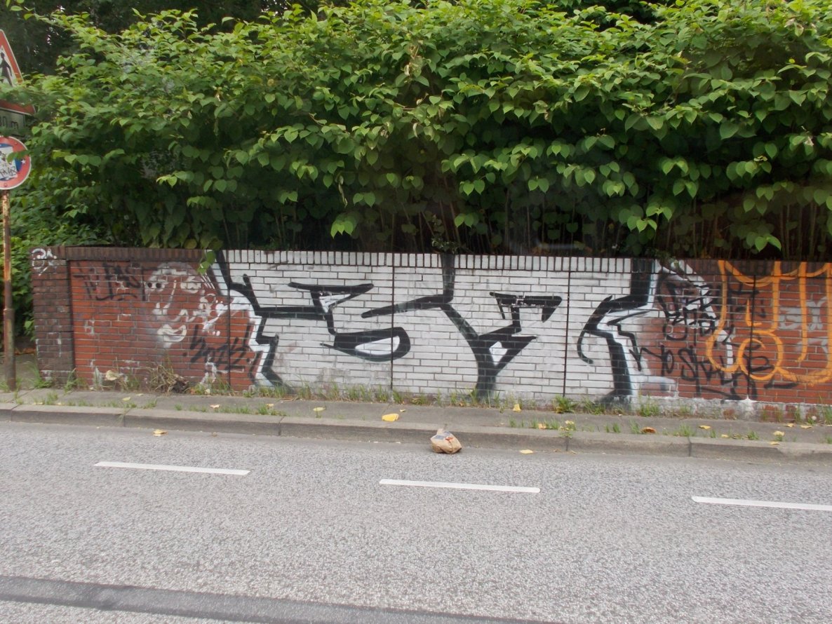 Graffiti Bombing in Hamburg - Photo by TiKeR - 37, REBOK (2015)