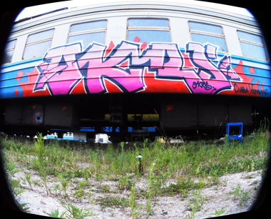 Graffiti Train - Photo by Tickie - tickie, gaos, maros (2014)