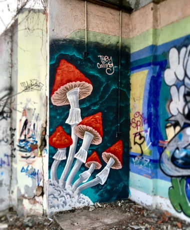 Graffiti Wall in харьков - Photo by Tickie97 - tickie, tck, Kharkiv (2020)