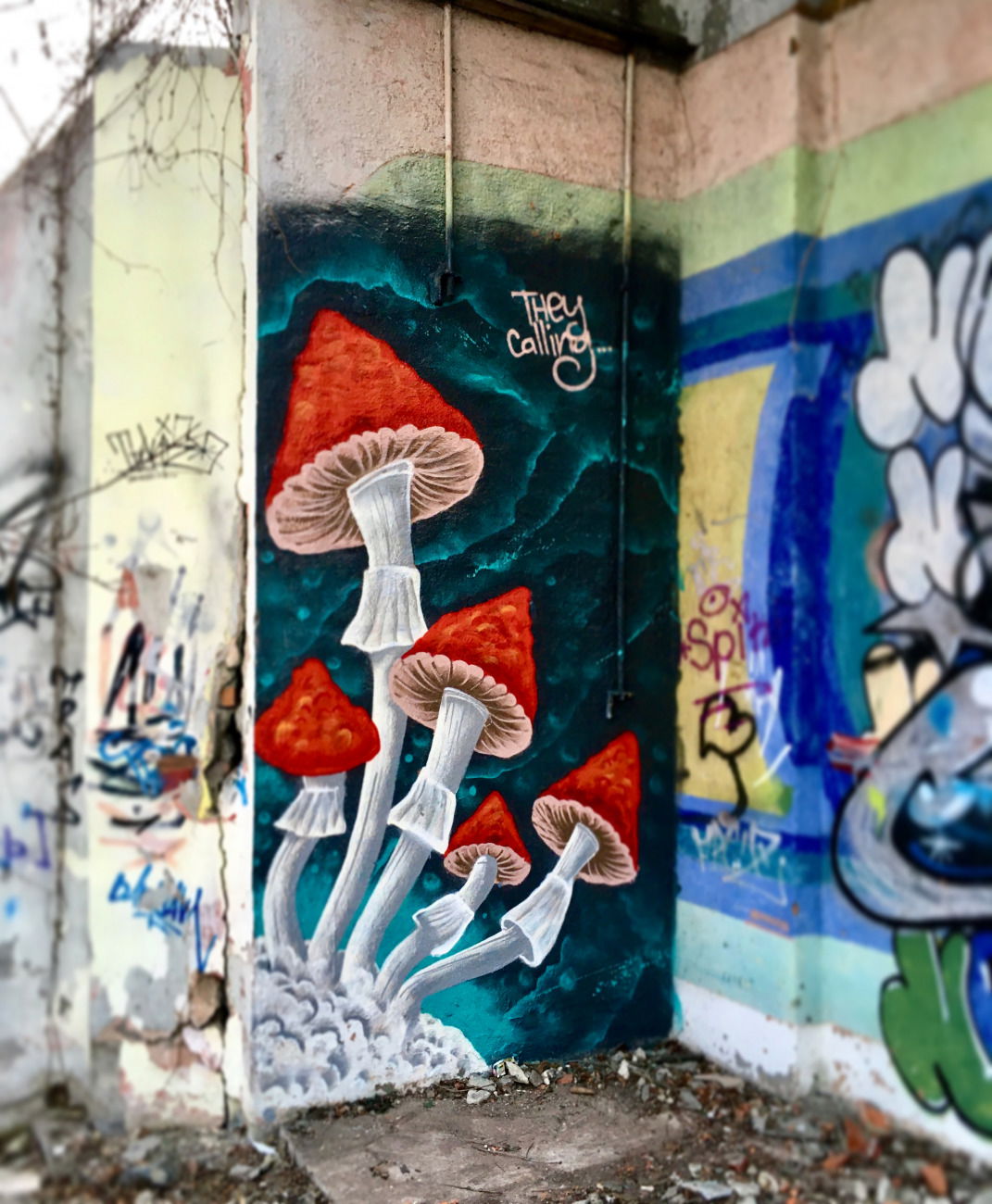 Graffiti Wall in харьков - Photo by Tickie97 - tickie, tck, Kharkiv (2020)