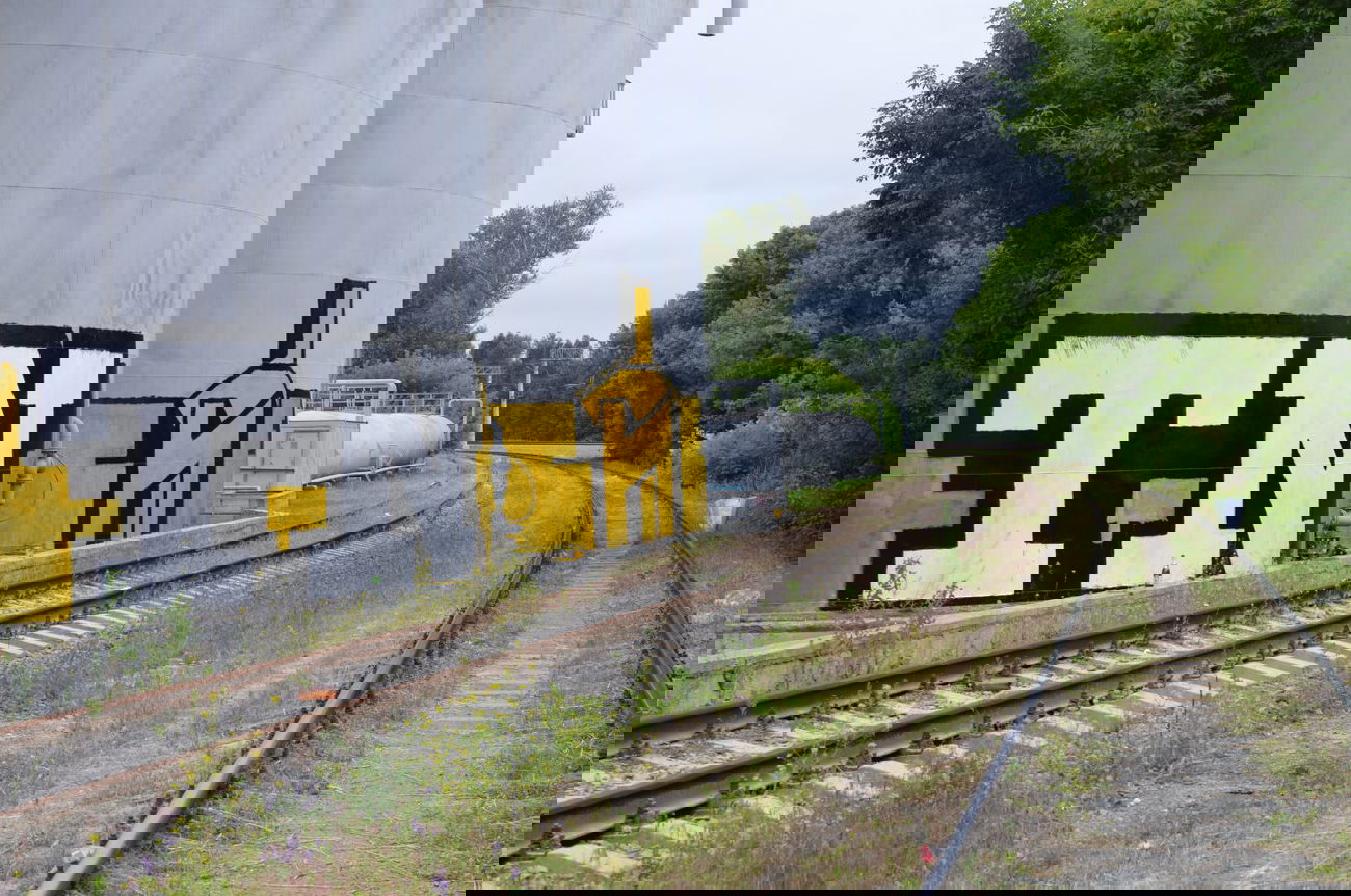 Graffiti Bombing - Photo by Tien (2013)