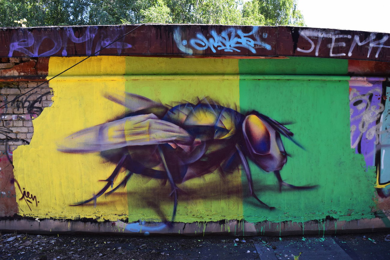 Graffiti Wall in Российская Федерация - Photo by Tien (2015)