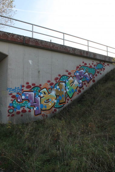 Graffiti Bombing - Photo by TimBudenzauber - 481 (2013)